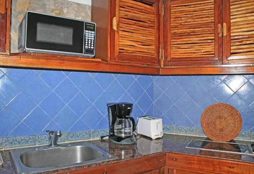 کلبه دلوکس, Casa Del Mar Cozumel Hotel & Dive Resort