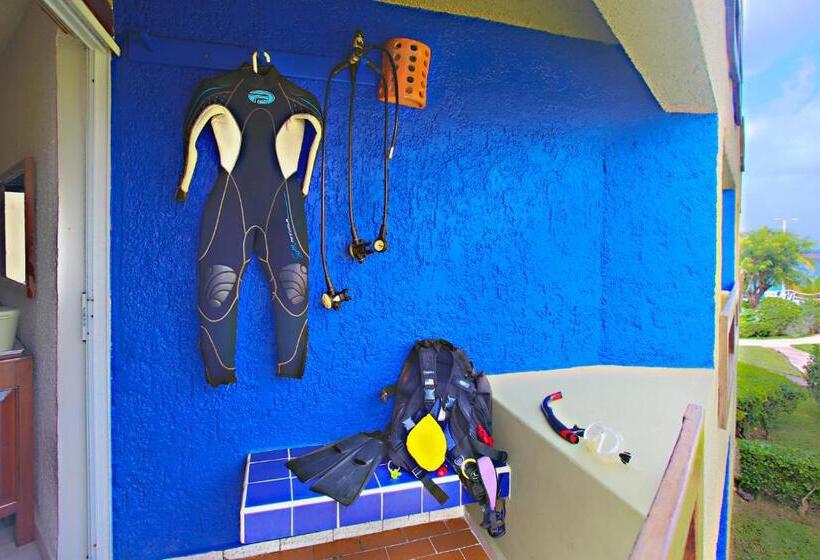 חדר סטנדרט נוף לים עם מרפסת, Casa Del Mar Cozumel Hotel & Dive Resort