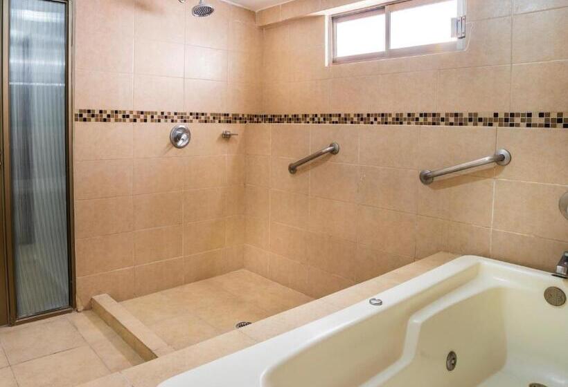 スタンダード4人部屋, Collection O Hotel Mocambo, Boca Del Río