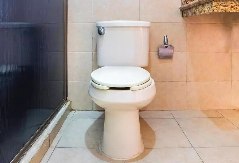 اتاق استاندارد, Collection O Hotel Mocambo, Boca Del Río