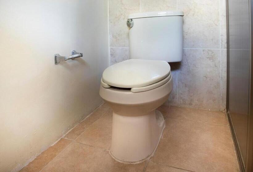 プールビュースタンダードルーム, Collection O Hotel Mocambo, Boca Del Río