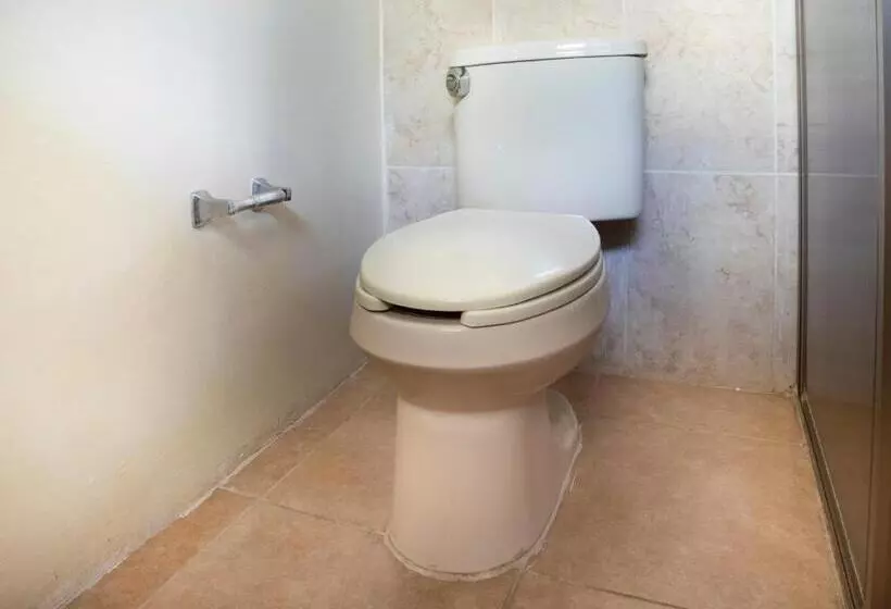 اتاق استاندارد با چشم‌انداز استخر, Collection O Hotel Mocambo, Boca Del Río