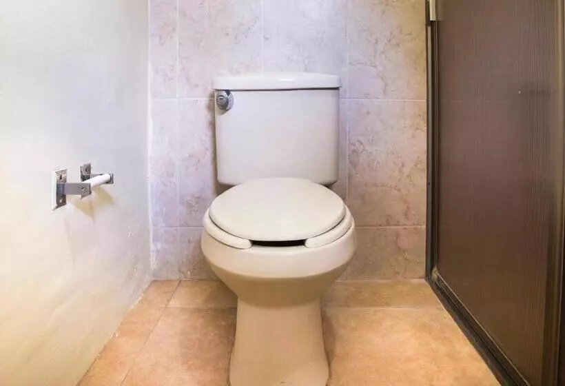 اتاق استاندارد با چشم‌انداز استخر, Collection O Hotel Mocambo, Boca Del Río