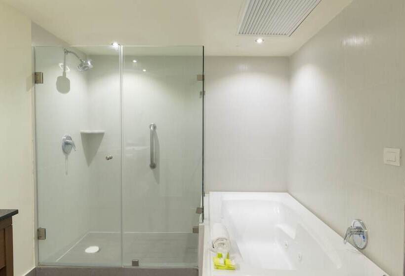 جناح مطل على المدينة, Holiday Inn Guadalajara Expo Plaza Del Sol, An Ihg