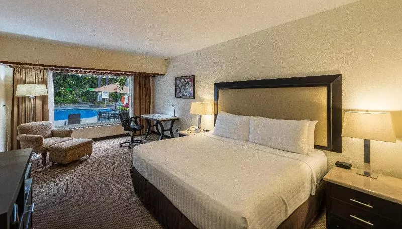 キングサイズベッドのスタンダードルーム, Holiday Inn Guadalajara Expo Plaza Del Sol, An Ihg