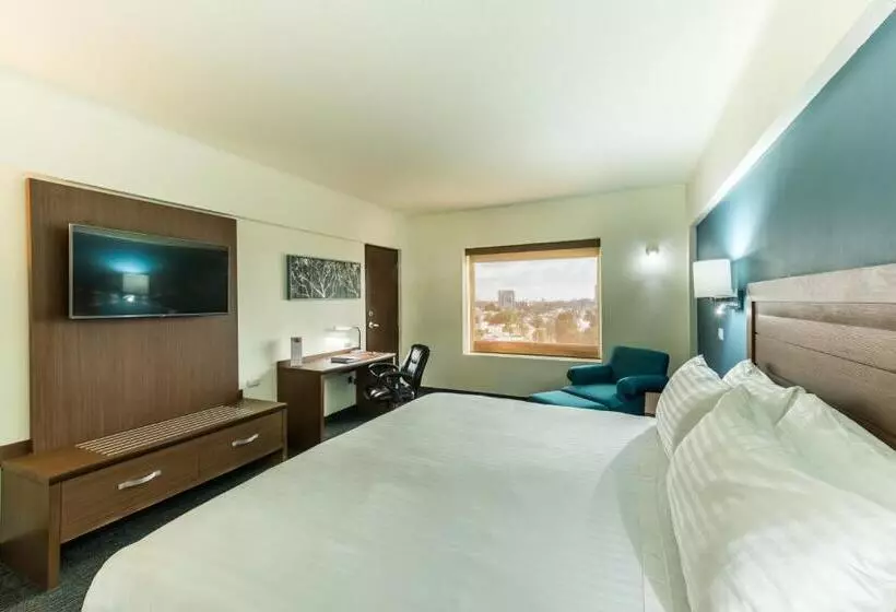 プレミアムルーム, Holiday Inn Guadalajara Expo Plaza Del Sol, An Ihg
