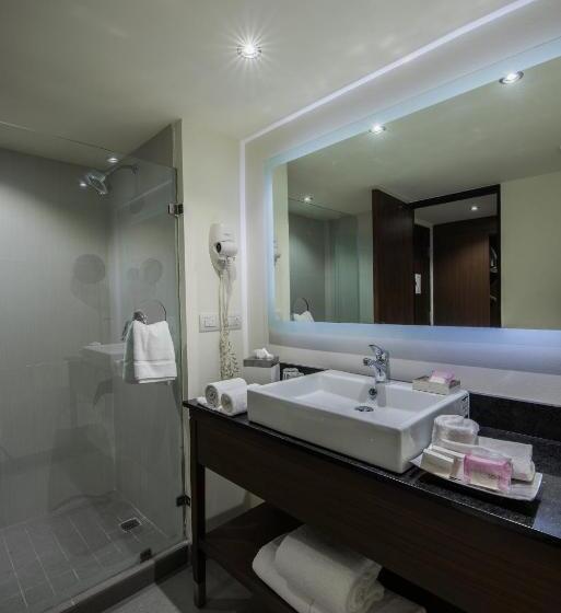 Стандартный Номер Кровать Кинг, Holiday Inn Guadalajara Expo Plaza Del Sol, An Ihg
