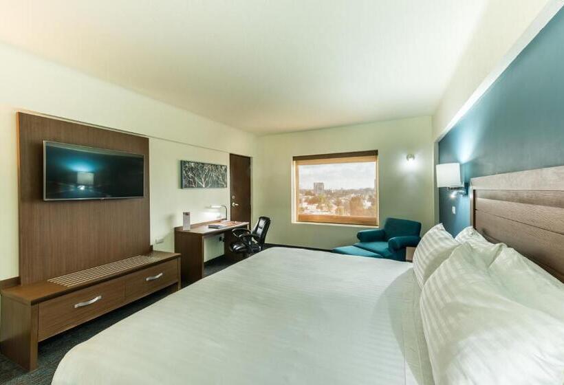 Стандартный Номер Кровать Кинг, Holiday Inn Guadalajara Expo Plaza Del Sol, An Ihg