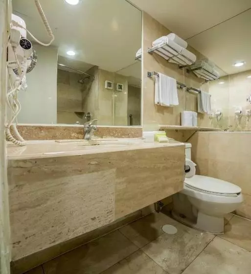 スタンダードシティビュールーム, Holiday Inn Guadalajara Expo Plaza Del Sol, An Ihg