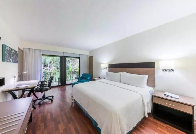 ガーデンビュースタンダードルーム, Holiday Inn Guadalajara Expo Plaza Del Sol, An Ihg