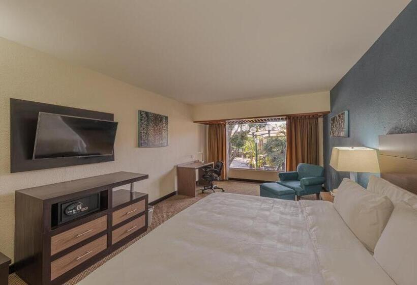 Номер Стандарт Вид на Сад, Holiday Inn Guadalajara Expo Plaza Del Sol, An Ihg