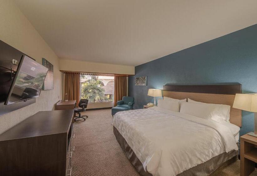 غرفة قياسية مطلّة علي الحديقة, Holiday Inn Guadalajara Expo Plaza Del Sol, An Ihg