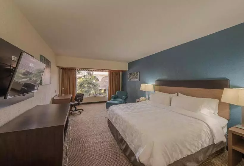 ガーデンビュースタンダードルーム, Holiday Inn Guadalajara Expo Plaza Del Sol, An Ihg