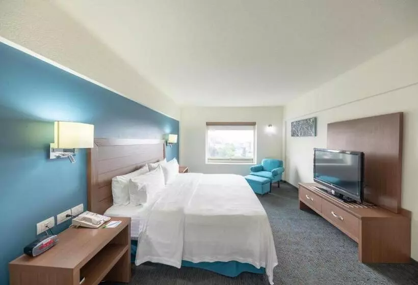 デラックススイート, Holiday Inn Guadalajara Expo Plaza Del Sol, An Ihg