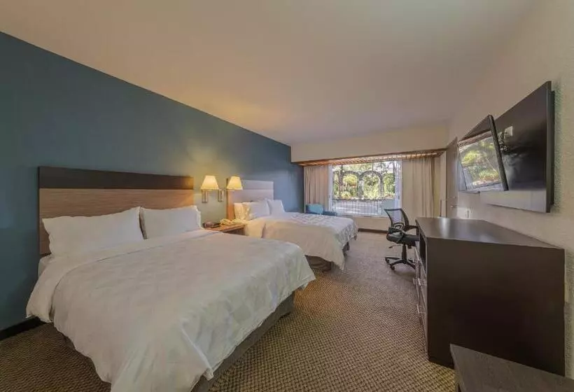２ダブルベッドのスタンダードルーム, Holiday Inn Guadalajara Expo Plaza Del Sol, An Ihg
