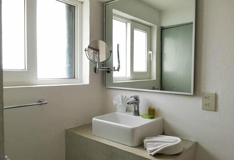 스탠다드 룸 더블 침대 2개, Rosita