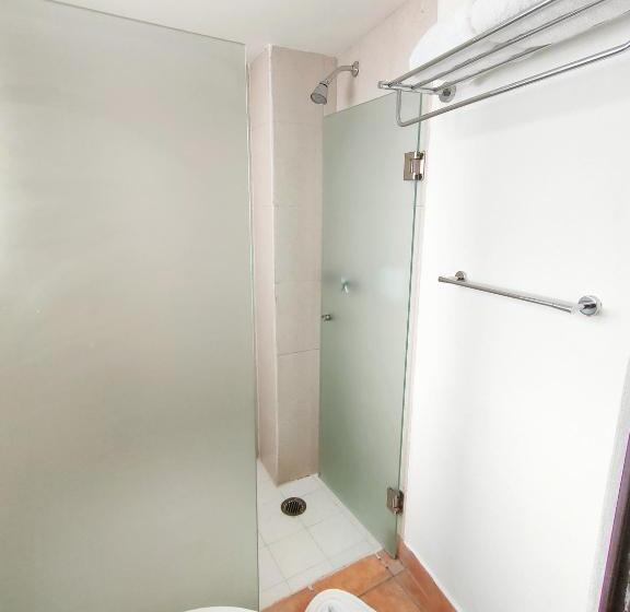 스탠다드 룸, Rosita