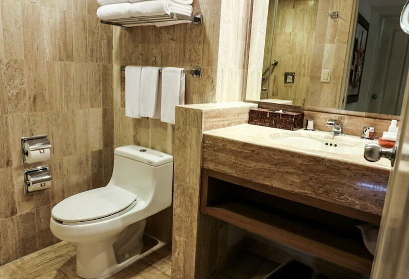 豪华套房, Velas Vallarta Suite Resort Allinclusive