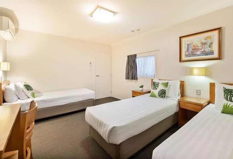 １ベッドルームアパートメント, Best Western Newmarket Inn & Suites