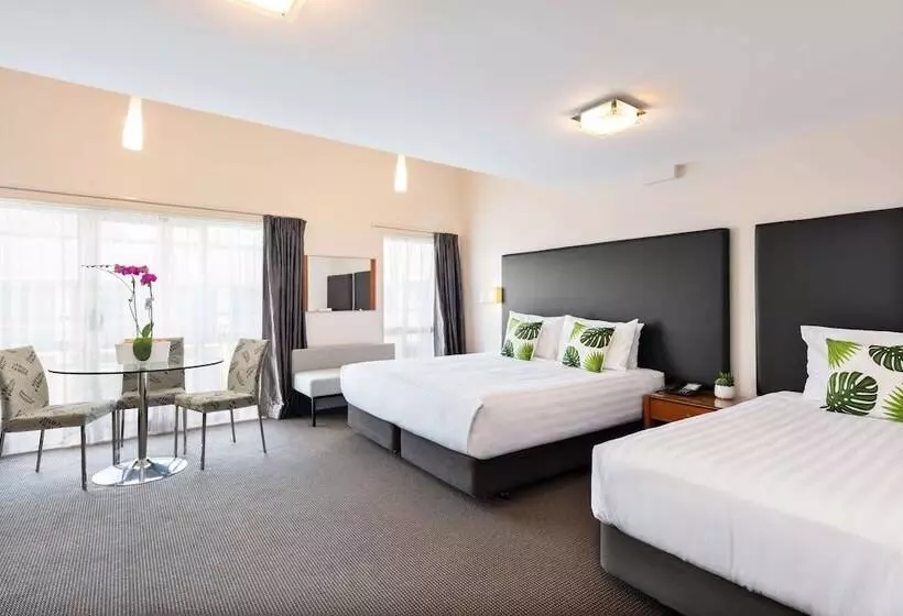 １ベッドルームアパートメント, Best Western Newmarket Inn & Suites