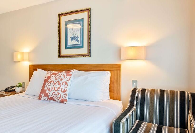 带1个卧室的公寓, Best Western Newmarket Inn & Suites