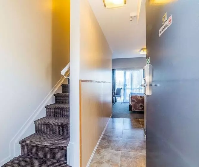 １ベッドルームアパートメント, Best Western Newmarket Inn & Suites