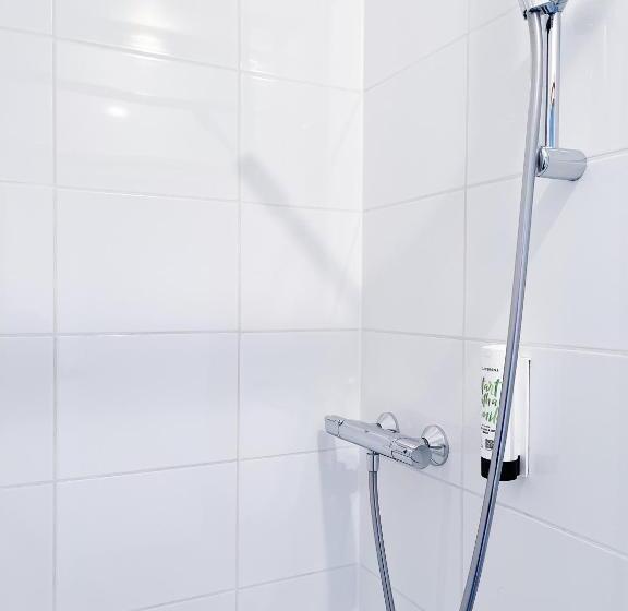 Номер Стандарт Индивидуальный, De Magneet