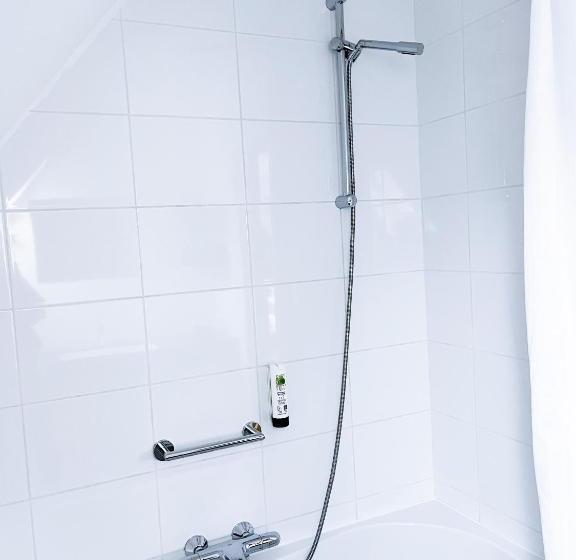 Четырехместный Номер Стандарт, De Magneet