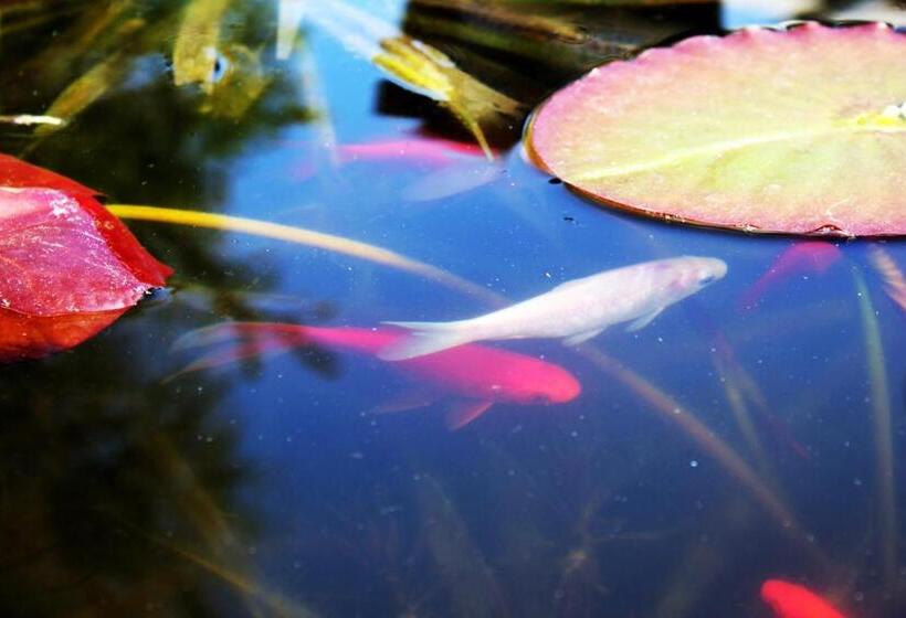 Семейные Апартаменты, De Magneet