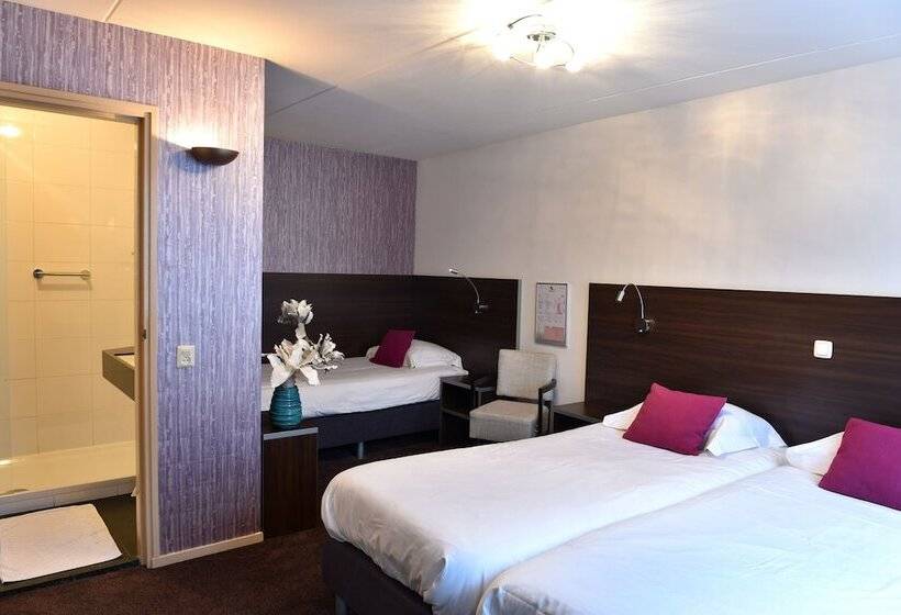 Номер Стандарт Трехместный, De Magneet