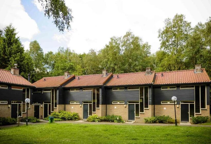 اتاق استاندارد با تراس, Fletcher Hotel Restaurant De Wipselberg Veluwe