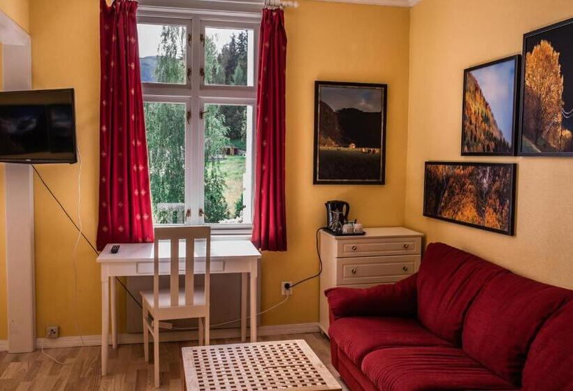 חדר סטנדרט, Kringsjå