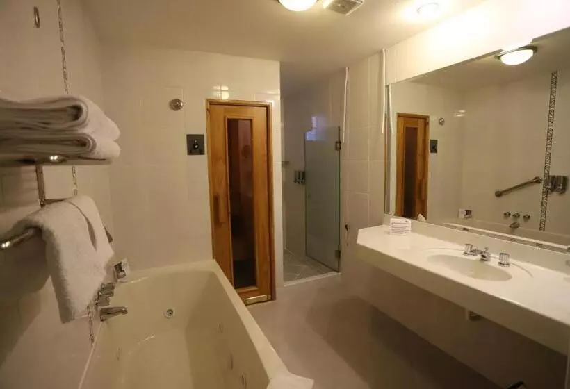 سوئیت جونیور با تراس, Andino Club   Hotel Asociado Casa Andina