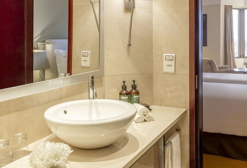 Standard Room Double Bed City View, Crowne Plaza Porto, An Ihg