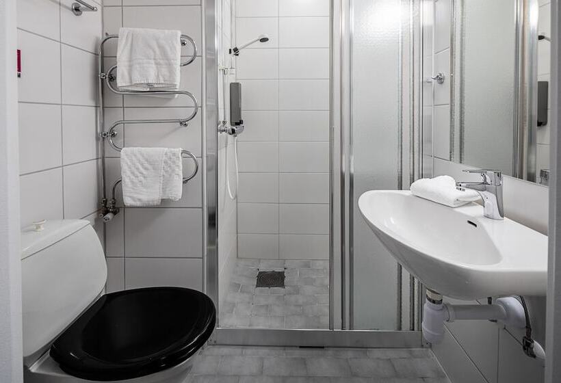 Номер Стандарт Индивидуальный, First Hotel Royal