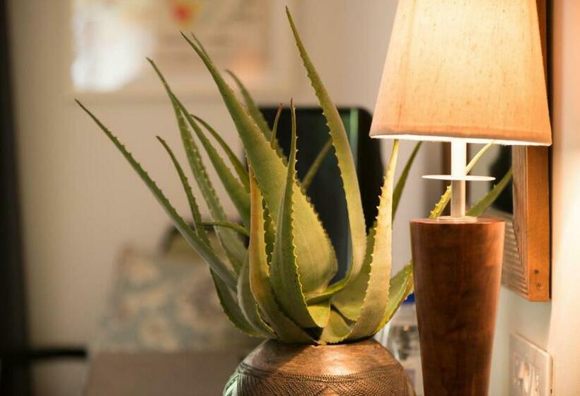 חדר סטנדרט, Ghost Mountain Inn