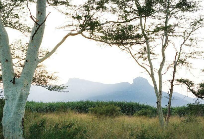 חדר סטנדרט, Ghost Mountain Inn