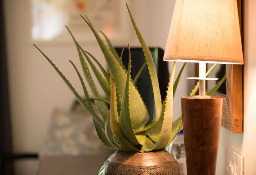 חדר סטנדרט, Ghost Mountain Inn