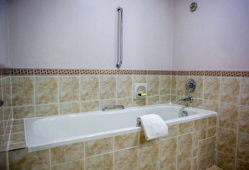 اتاق استاندارد با 2 تخت دوبل, Holiday Inn Harare, An Ihg