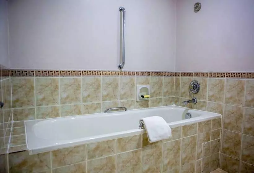 اتاق پرمیوم, Holiday Inn   Harare, An Ihg