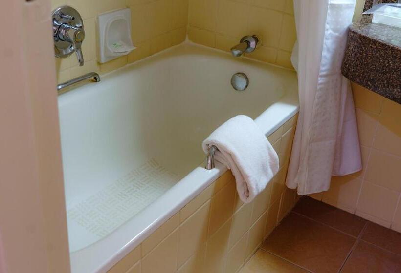 اتاق استاندارد, Holiday Inn Harare, An Ihg