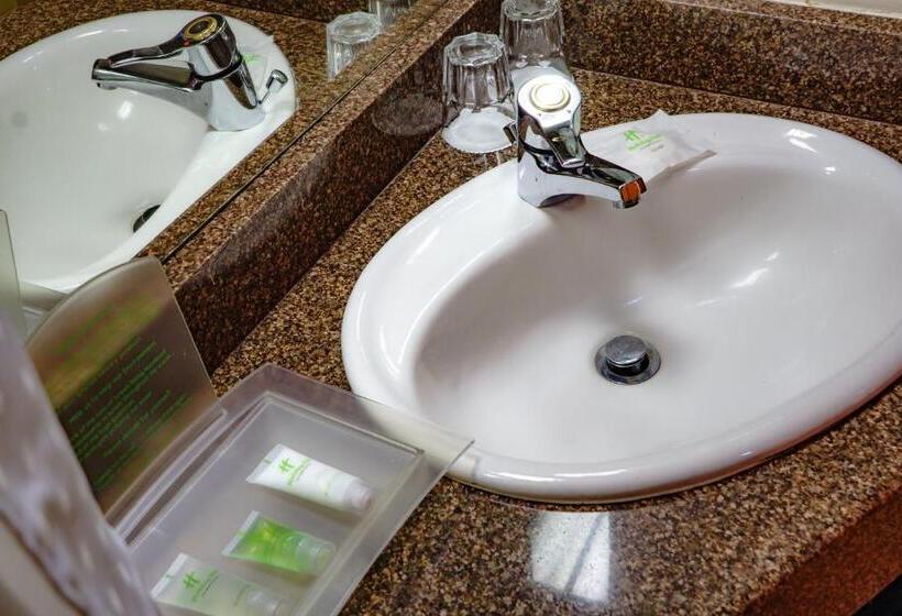 اتاق استاندارد با تخت بزرگ, Holiday Inn   Harare, An Ihg