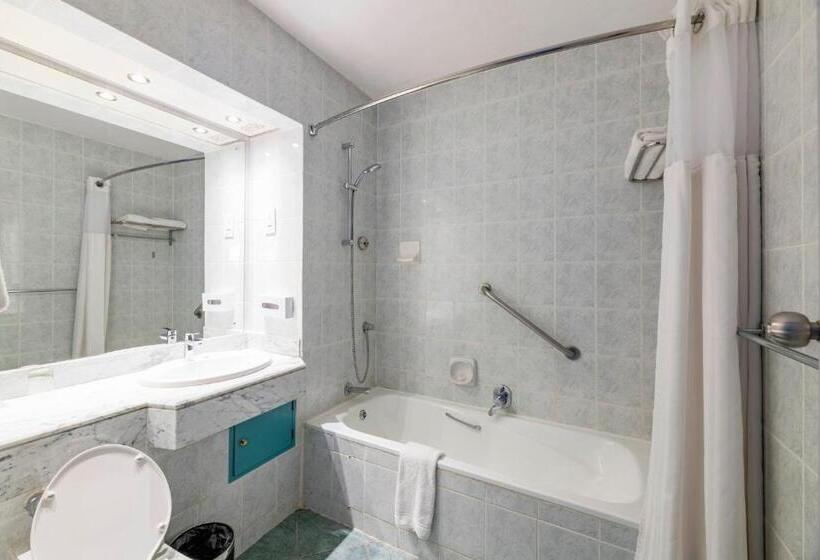 标准间, Holiday Inn Mutare, An Ihg