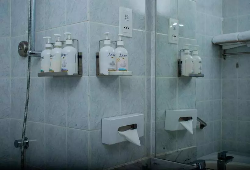 اتاق استاندارد برای معلولان, Holiday Inn Mutare, An Ihg