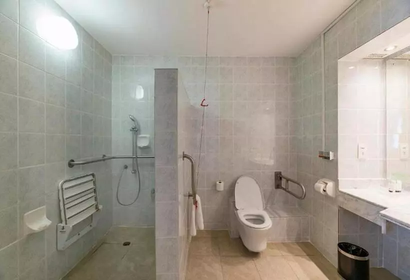 اتاق استاندارد برای معلولان, Holiday Inn Mutare, An Ihg