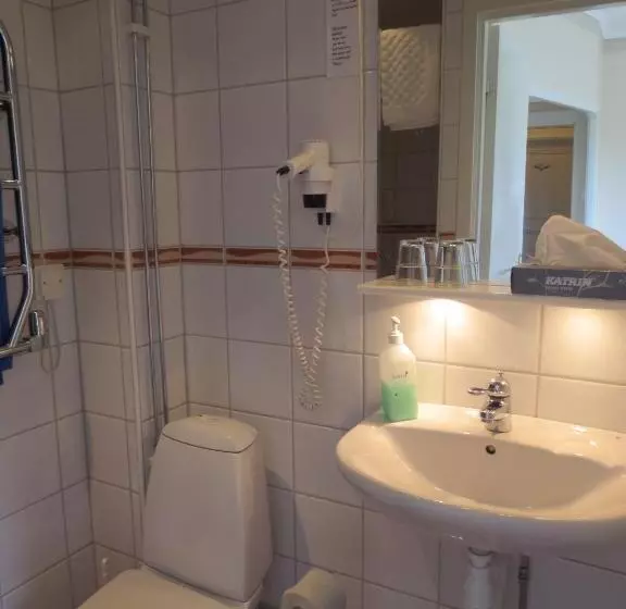 庭の見えるシングルルーム, Järvsöbaden