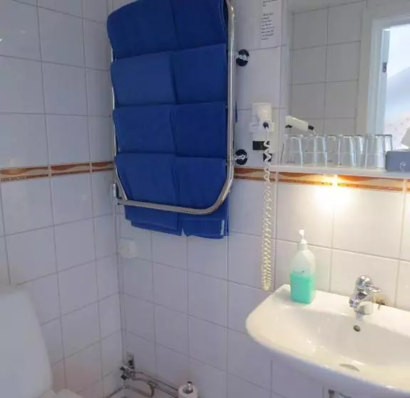 庭の見えるスタンダードトリプルルーム, Järvsöbaden
