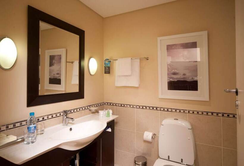 חדר סטנדרט עם מיטת קינג, Southern Sun Or Tambo International Airport