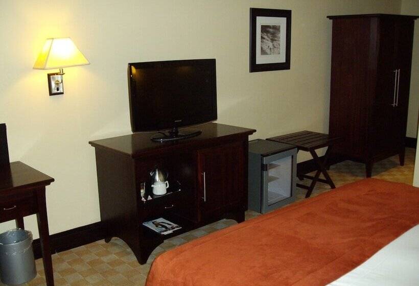 חדר סופריור עם מיטת קינג, Southern Sun Or Tambo International Airport