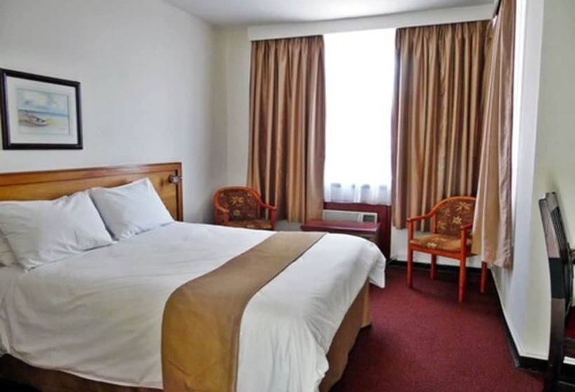 Номер Стандарт Индивидуальный, Arcadia